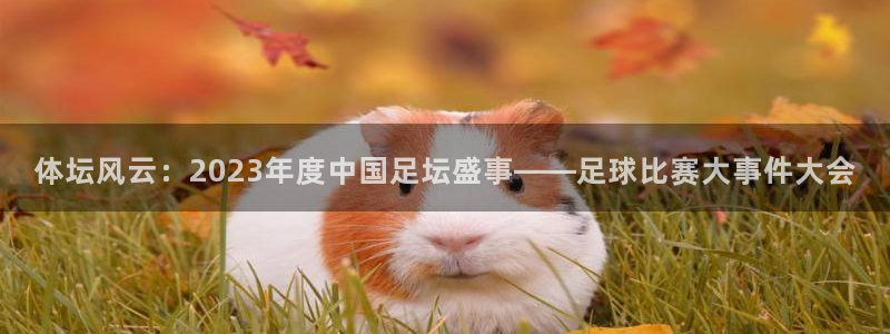 体坛风云：2023年度中国足坛盛事——足球比赛大事件大会